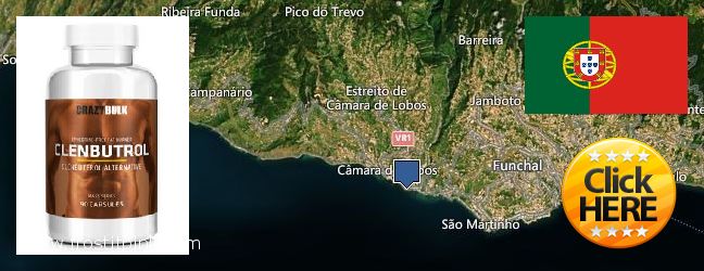 Where Can You Buy Clenbuterol Steroids online Camara de Lobos, Portugal