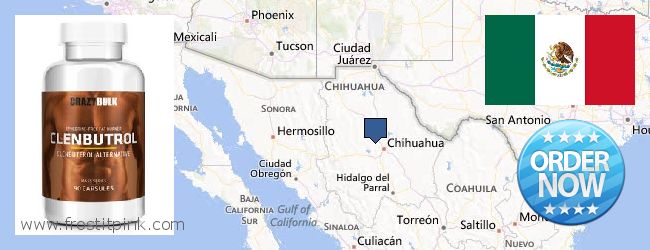 Dónde comprar Clenbuterol Steroids en linea Chihuahua, Mexico