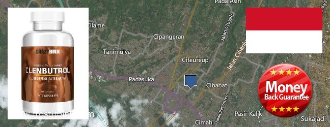 Where to Buy Clenbuterol Steroids online Cimahi, Indonesia