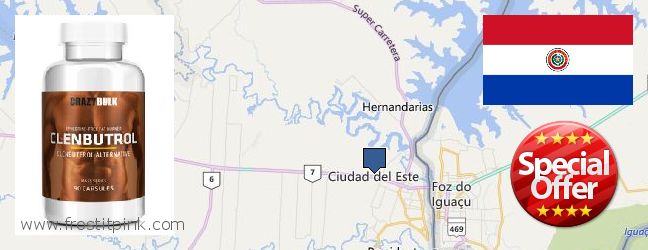 Where Can You Buy Clenbuterol Steroids online Ciudad del Este, Paraguay