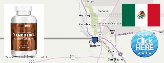 Purchase Clenbuterol Steroids online Ciudad Juarez, Mexico Where to Purchase Clenbuterol Steroids online Ciudad Juarez, Mexico