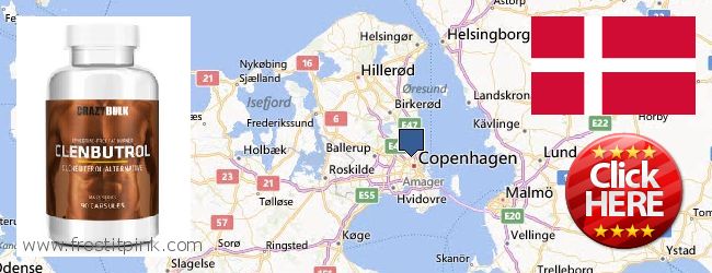 Best Place to Buy Clenbuterol Steroids online Copenhagen, Denmark