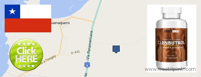 Best Place to Buy Clenbuterol Steroids online Coquimbo, Chile