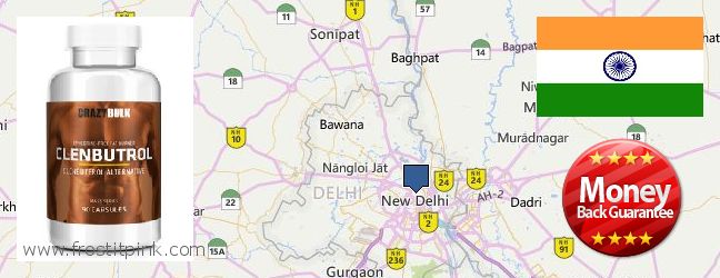 Where Can I Purchase Clenbuterol Steroids online Delhi, India