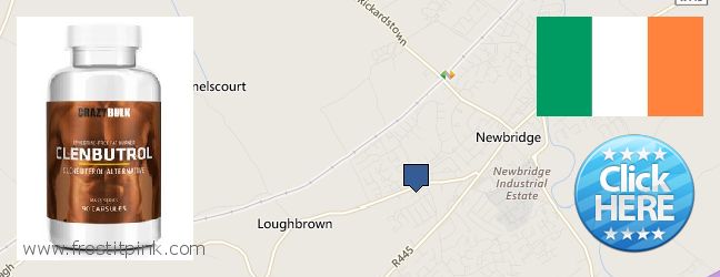 Purchase Clenbuterol Steroids online Droichead Nua, Ireland Where to Purchase Clenbuterol Steroids online Droichead Nua, Ireland
