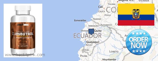 Where to Buy Clenbuterol Steroids online Ecuador