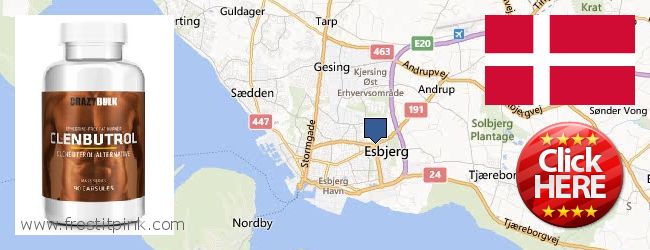 Wo kaufen Clenbuterol Steroids online Esbjerg, Denmark