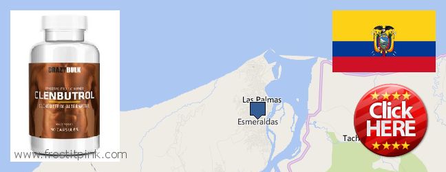 Where Can You Buy Clenbuterol Steroids online Esmeraldas, Ecuador
