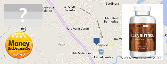 Where to Buy Clenbuterol Steroids online Fajardo, Puerto Rico