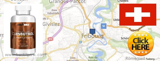 Where to Buy Clenbuterol Steroids online Fribourg, Switzerland