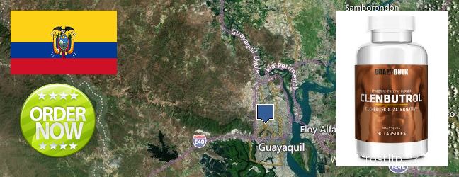 Dónde comprar Clenbuterol Steroids en linea Guayaquil, Ecuador