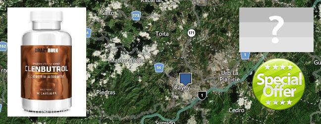 Purchase Clenbuterol Steroids online Guaynabo, Puerto Rico Where to Purchase Clenbuterol Steroids online Guaynabo, Puerto Rico