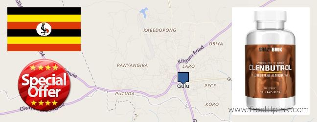 Where Can I Purchase Clenbuterol Steroids online Gulu, Uganda