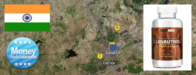 Purchase Clenbuterol Steroids online Gwalior, India Where to Purchase Clenbuterol Steroids online Gwalior, India