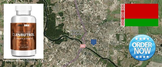 Purchase Clenbuterol Steroids online Hrodna, Belarus Buy Clenbuterol Steroids online Hrodna, Belarus