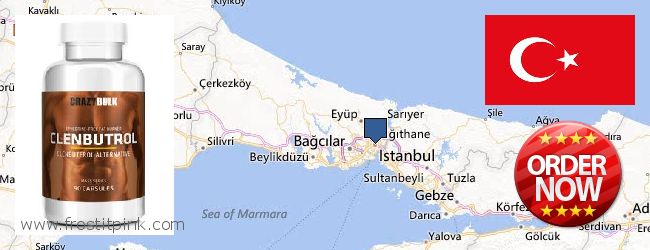 Purchase Clenbuterol Steroids online Istanbul, Turkey Where to Purchase Clenbuterol Steroids online Istanbul, Turkey