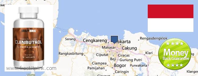 Where Can You Buy Clenbuterol Steroids online Jakarta, Indonesia