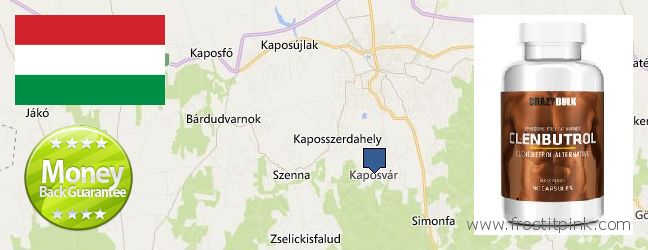 Hol lehet megvásárolni Clenbuterol Steroids online Kaposvár, Hungary