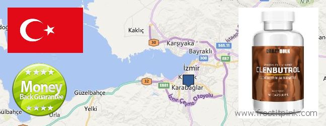 Where to Buy Clenbuterol Steroids online Karabaglar, Turkey