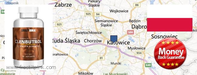 Where to Buy Clenbuterol Steroids online Katowice, Poland