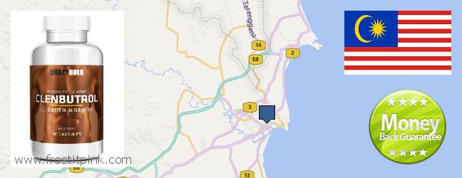 Buy Clenbuterol Steroids online Kuantan, Malaysia