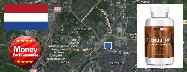 Buy Clenbuterol Steroids online Leiden, Netherlands Where Can I Buy Clenbuterol Steroids online Leiden, Netherlands