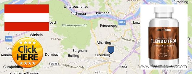 Buy Clenbuterol Steroids online Leonding, Austria Purchase Clenbuterol Steroids online Leonding, Austria