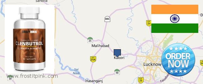 Where Can You Buy Clenbuterol Steroids online Lucknow, India