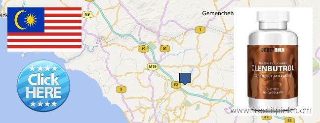 Where Can I Buy Clenbuterol Steroids online Malacca, Malaysia