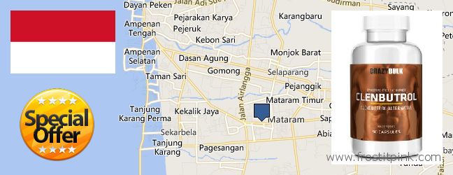 Where to Purchase Clenbuterol Steroids online Mataram, Indonesia