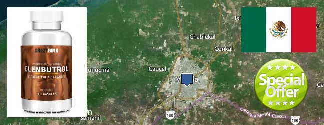 Purchase Clenbuterol Steroids online Merida, Mexico Where Can You Buy Clenbuterol Steroids online Merida, Mexico