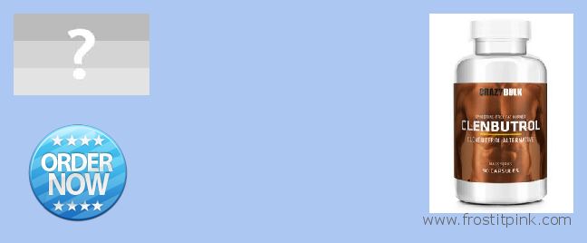 Unde să cumpărați Clenbuterol Steroids on-line Novi Sad, Serbia and Montenegro