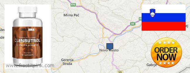 Where to Purchase Clenbuterol Steroids online Novo Mesto, Slovenia
