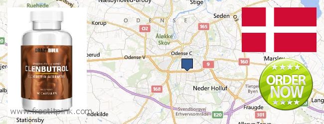 Purchase Clenbuterol Steroids online Odense, Denmark Where to Buy Clenbuterol Steroids online Odense, Denmark