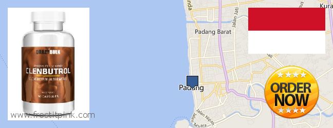 Where to Buy Clenbuterol Steroids online Padang, Indonesia