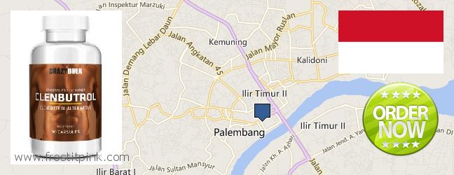 Where to Purchase Clenbuterol Steroids online Palembang, Indonesia