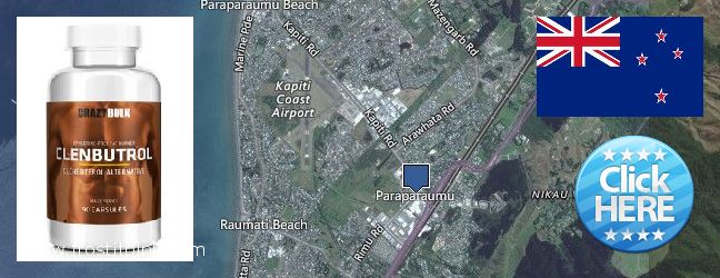 Where to Buy Clenbuterol Steroids online Paraparaumu, New Zealand