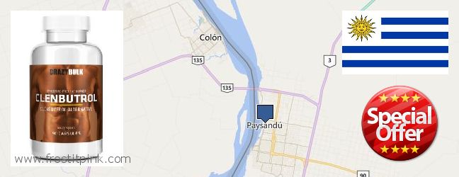 Where to Buy Clenbuterol Steroids online Paysandu, Uruguay