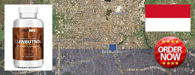Buy Clenbuterol Steroids online Pekanbaru, Indonesia