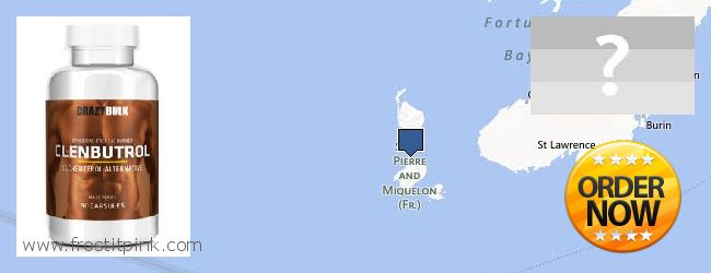 Dónde comprar Clenbuterol Steroids en linea Saint Pierre and Miquelon
