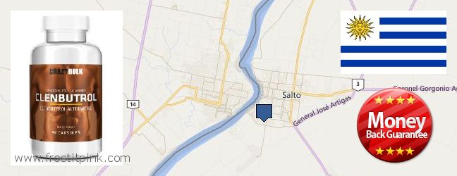 Buy Clenbuterol Steroids online Salto, Uruguay Where to Buy Clenbuterol Steroids online Salto, Uruguay