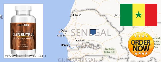 Best Place to Buy Clenbuterol Steroids online Senegal