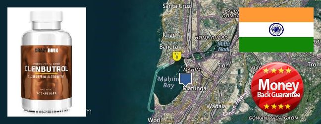 Where to Purchase Clenbuterol Steroids online Shivaji Nagar, India