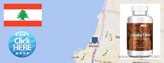 Buy Clenbuterol Steroids online Sidon, Lebanon Where Can I Purchase Clenbuterol Steroids online Sidon, Lebanon