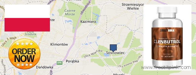 Where to Buy Clenbuterol Steroids online Sosnowiec, Poland