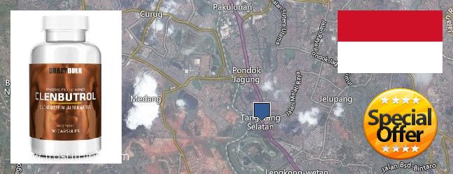 Where to Buy Clenbuterol Steroids online South Tangerang, Indonesia