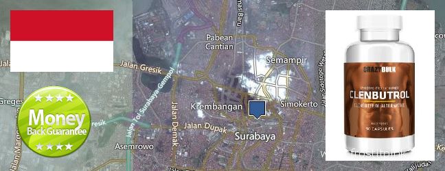 Where Can You Buy Clenbuterol Steroids online Surabaya, Indonesia