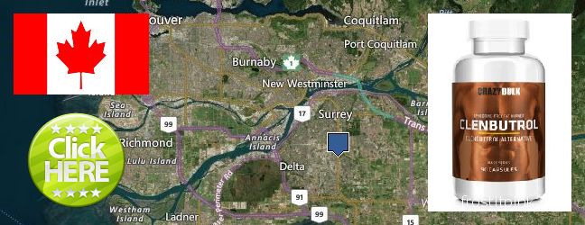 Buy Clenbuterol Steroids online Surrey, Canada