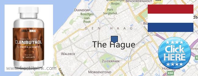 Purchase Clenbuterol Steroids online The Hague, Netherlands Where to Buy Clenbuterol Steroids online The Hague, Netherlands