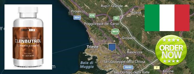 Dove acquistare Clenbuterol Steroids in linea Trieste, Italy